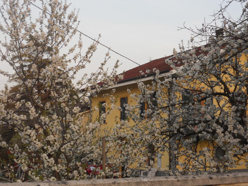 B&B Pervinca Rocca Grimalda Екстер'єр фото