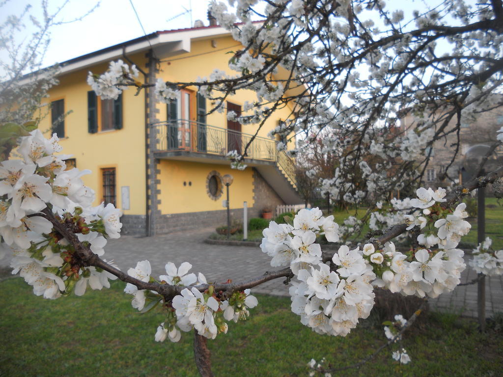 B&B Pervinca Rocca Grimalda Екстер'єр фото